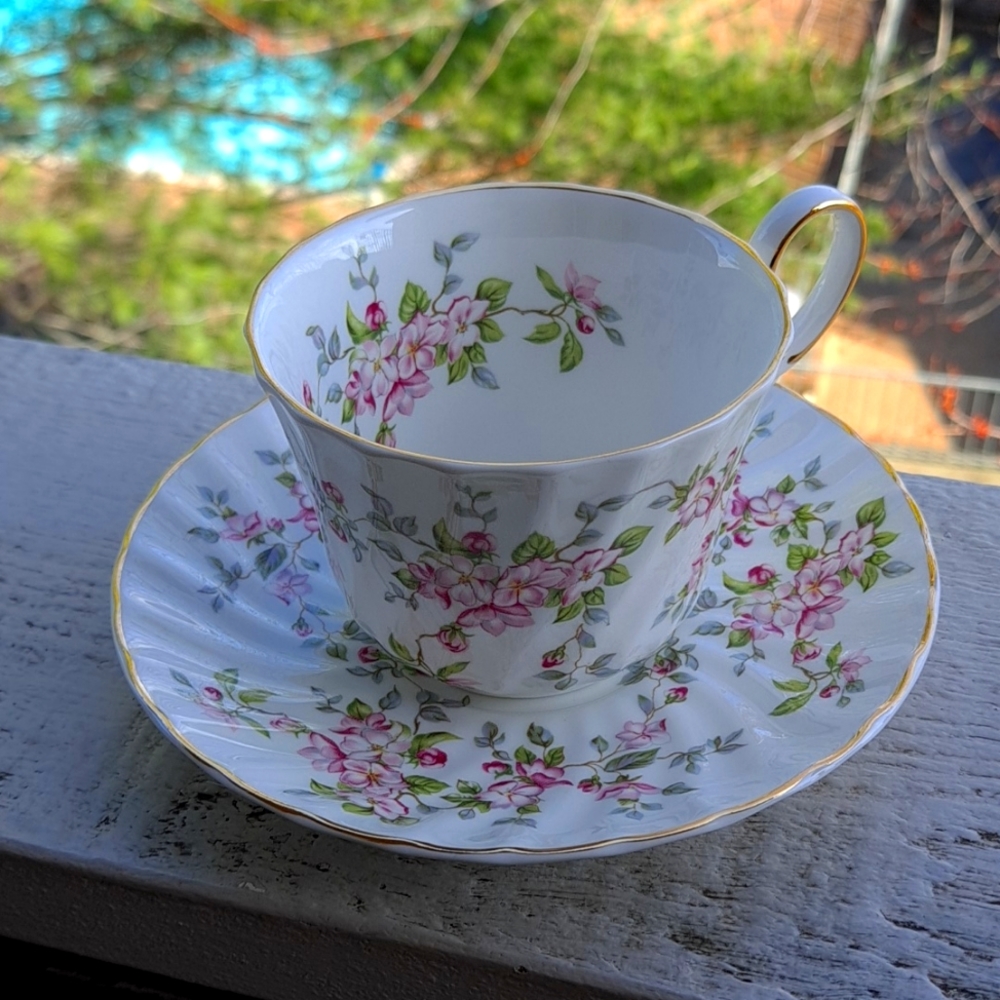 Royal Patrician hd&s Fine Bone China Teacup And Saucer Set